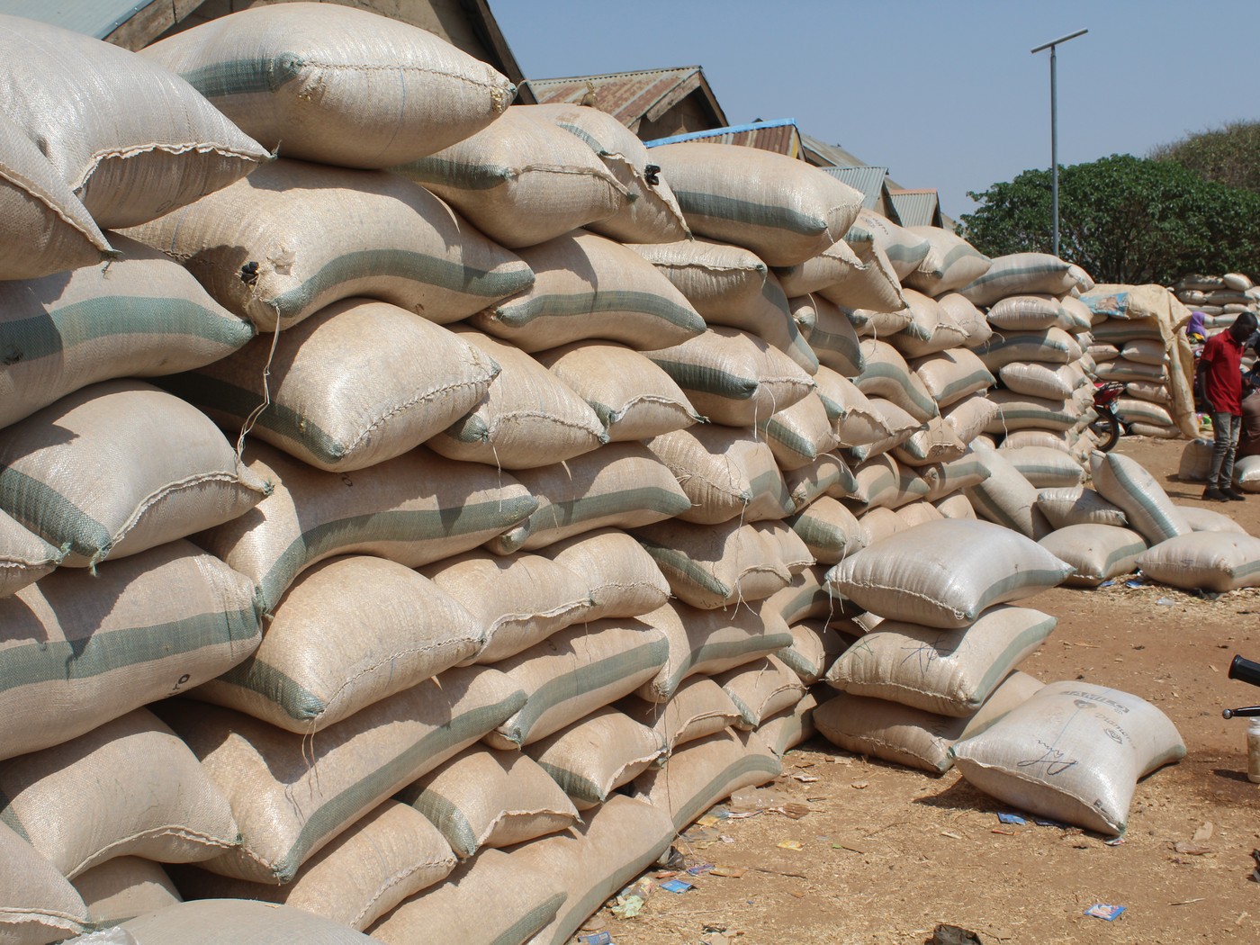 Ifenri Dry & Store — Cutting post-harvest loss